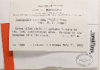 Image Associated With the Occurrence