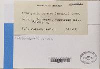 Image Associated With the Occurrence