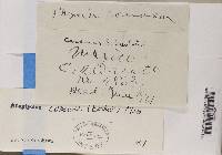 Image Associated With the Occurrence