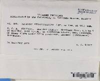 Image Associated With the Occurrence