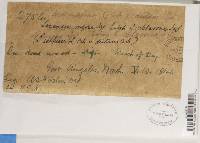 Thumbnail image of current specimen