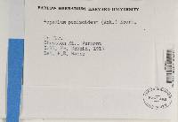 Image Associated With the Occurrence