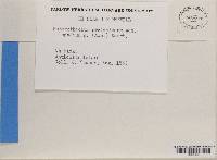 Image Associated With the Occurrence