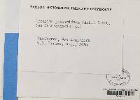 Image Associated With the Occurrence