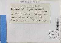 Image Associated With the Occurrence