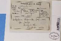 Image Associated With the Occurrence