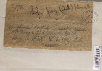 Image Associated With the Occurrence