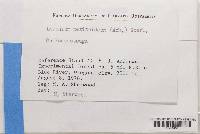 Image Associated With the Occurrence