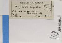 Image Associated With the Occurrence