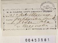 Image Associated With the Occurrence