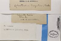 Image Associated With the Occurrence