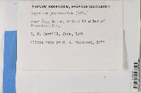 Image Associated With the Occurrence