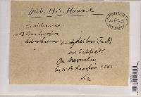 Image Associated With the Occurrence