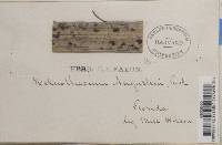 Image Associated With the Occurrence