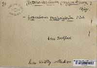 Image Associated With the Occurrence