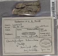 Image Associated With the Occurrence