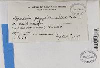 Image Associated With the Occurrence