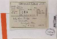 Image Associated With the Occurrence