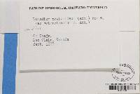 Image Associated With the Occurrence