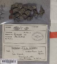 Image Associated With the Occurrence