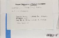 Image Associated With the Occurrence