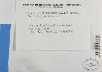 Image Associated With the Occurrence