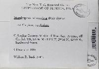 Image Associated With the Occurrence