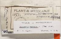 Image Associated With the Occurrence