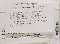 Image Associated With the Occurrence