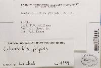 Image Associated With the Occurrence