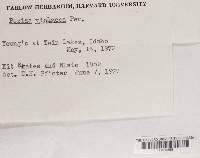 Image Associated With the Occurrence