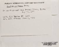 Image Associated With the Occurrence