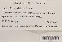 Image Associated With the Occurrence