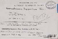 Thumbnail image of current specimen