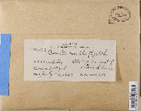 Image Associated With the Occurrence