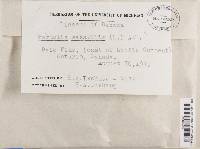 Image Associated With the Occurrence