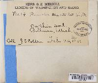 Image Associated With the Occurrence