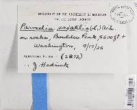 Image Associated With the Occurrence