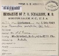 Image Associated With the Occurrence