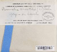 Image Associated With the Occurrence