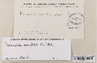 Image Associated With the Occurrence