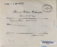 Image Associated With the Occurrence