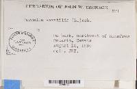 Image Associated With the Occurrence