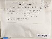 Image Associated With the Occurrence