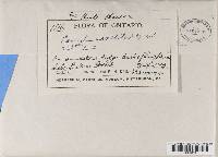 Image Associated With the Occurrence