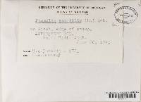 Image Associated With the Occurrence