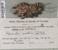 Image Associated With the Occurrence