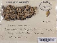 Image Associated With the Occurrence