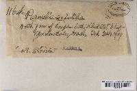 Image Associated With the Occurrence