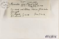 Image Associated With the Occurrence